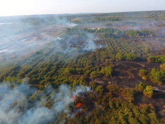 Черкаським рятувальникам не вдається загасити пожежу на Ірдинському торфовищі