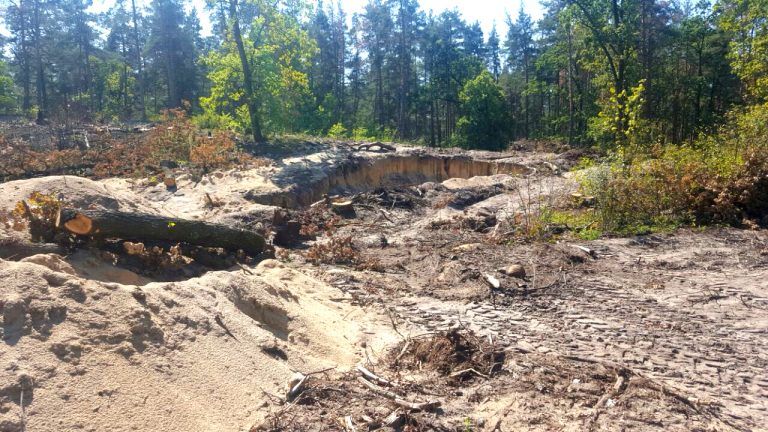 За розбазарювання землі в Ірпені, Бучі, Ворзелі та Гостомелі прокуратура подала 456 позовів