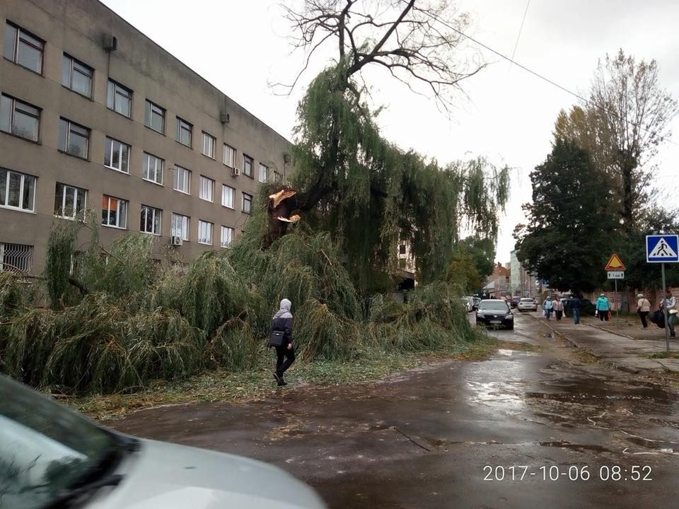 На Західній Україні знеструмлено бурею 200 міст і сіл (фото)