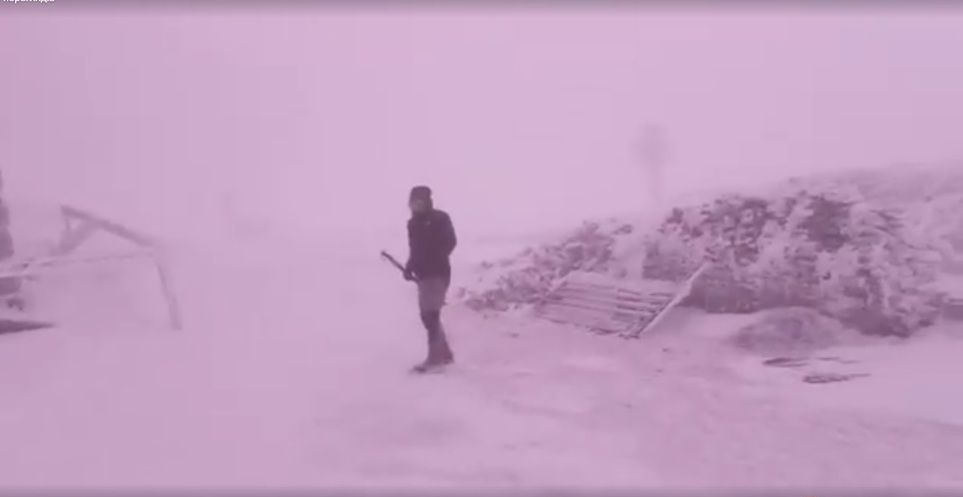 У Карпатах триває заметіль (відео)