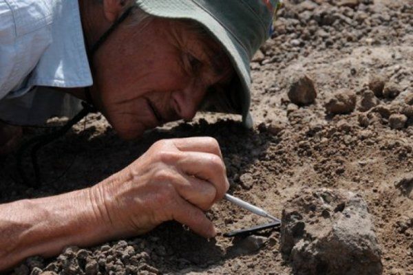 У Китаї знайшли 200 яєць птерозаврів