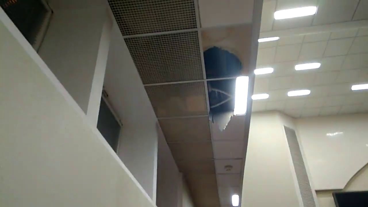 У Київраді на депутатів падали фрагменти стелі (відео)