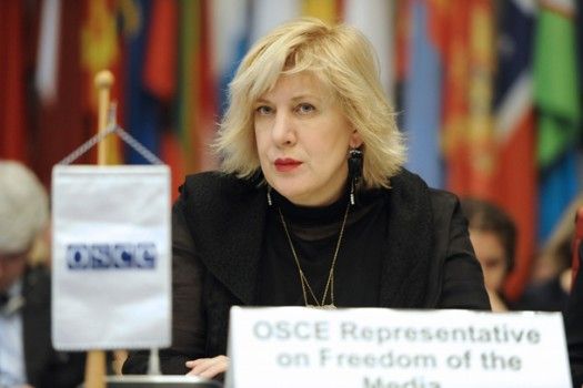 Дуня Міятович стала комісаром ПАРЄ з прав людини