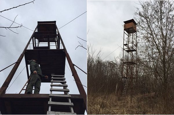 На Закарпатті повалили дві спостережні вишки на «приватному кордоні» (відео)