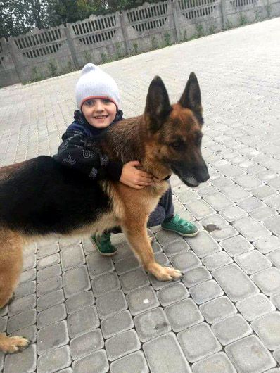 Миротворець серед однолітків: чим прославився третьокласник Павлик Петришин