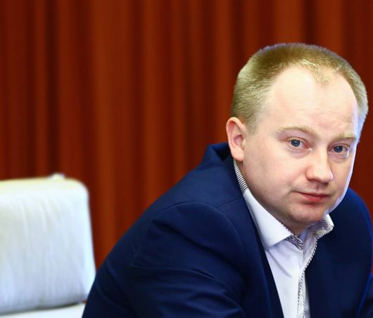 Він працює: завдяки мораторію на експорт лісу-кругляка незаконних вирубок поменшало