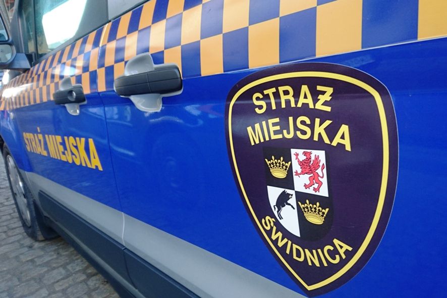 У Польщі влаштували облаву на неофашистів
