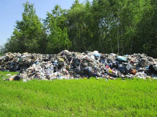 На Житомирщині з’явилося стихійне сміттєзвалище: підозрють, що непотріб зі Львова