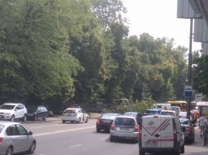 Негода в Києві призвела до деревопаду (фото, відео)