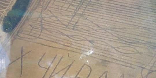 Фермер на Одещині шокував владу непристойним написом на полі (фото)