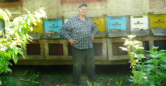 Пасічник Анатолій Домненко: до бджоли, як і до жінки, потрібно ставитися делікатно