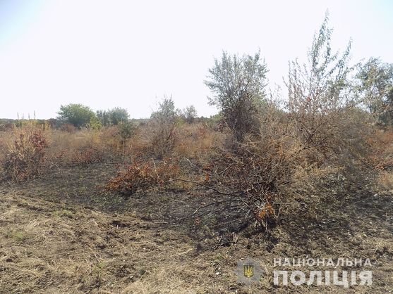 У винограднику Крістофа Лакарена в Шабо слідів підпалу не знайшли