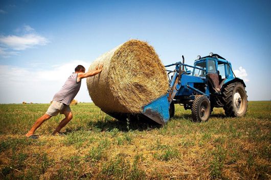Яким буде ринок землі: ріллю продаватимуть тільки українцям і насамперед дрібним фермерам
