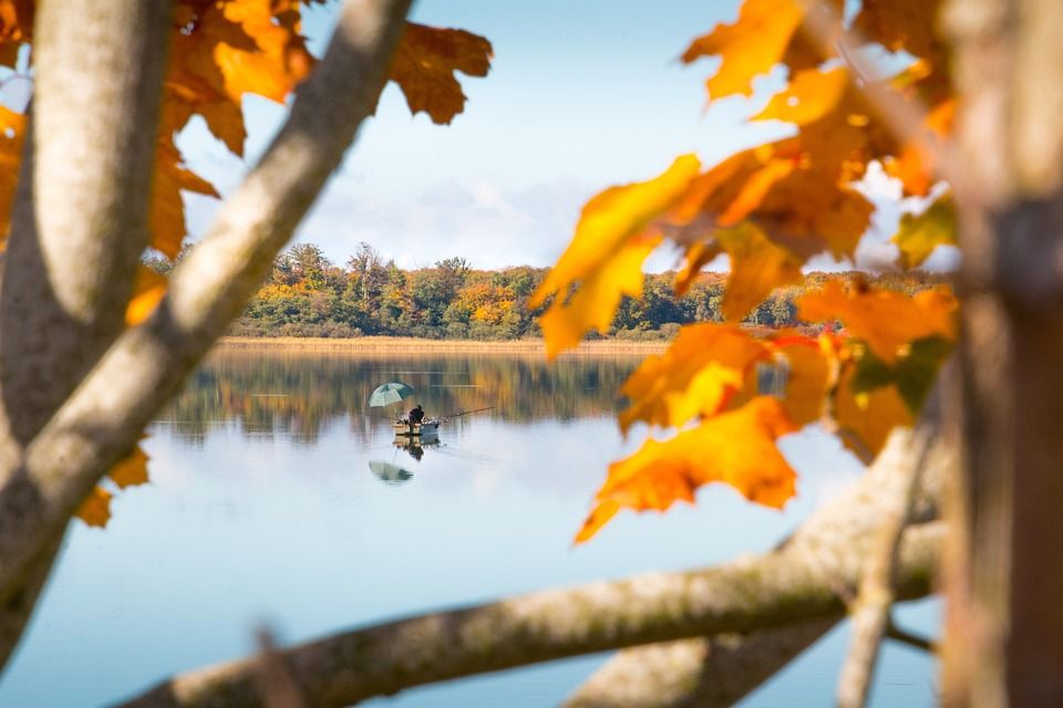 В Україну на вихідні прийде різке потепління