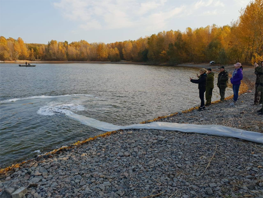 У державному заказнику «Сулинський» до водойм випустили 3 тони мальків товстолобика