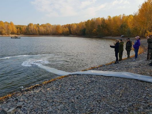 У державному заказнику «Сулинський» до водойм випустили 3 тони мальків товстолобика