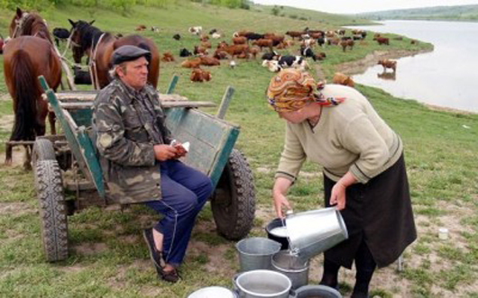 По кишенях і рахунках: чому аграрії не отримують виділені для їхньої підтримки бюджетні гроші
