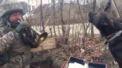 Фронтовий дует: військовик та чотирилапий побратим виконали пісню (відео)