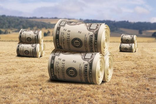 Ярмо на шиї: аграрії блокуватимуть Верховну Раду через мораторій на продаж землі