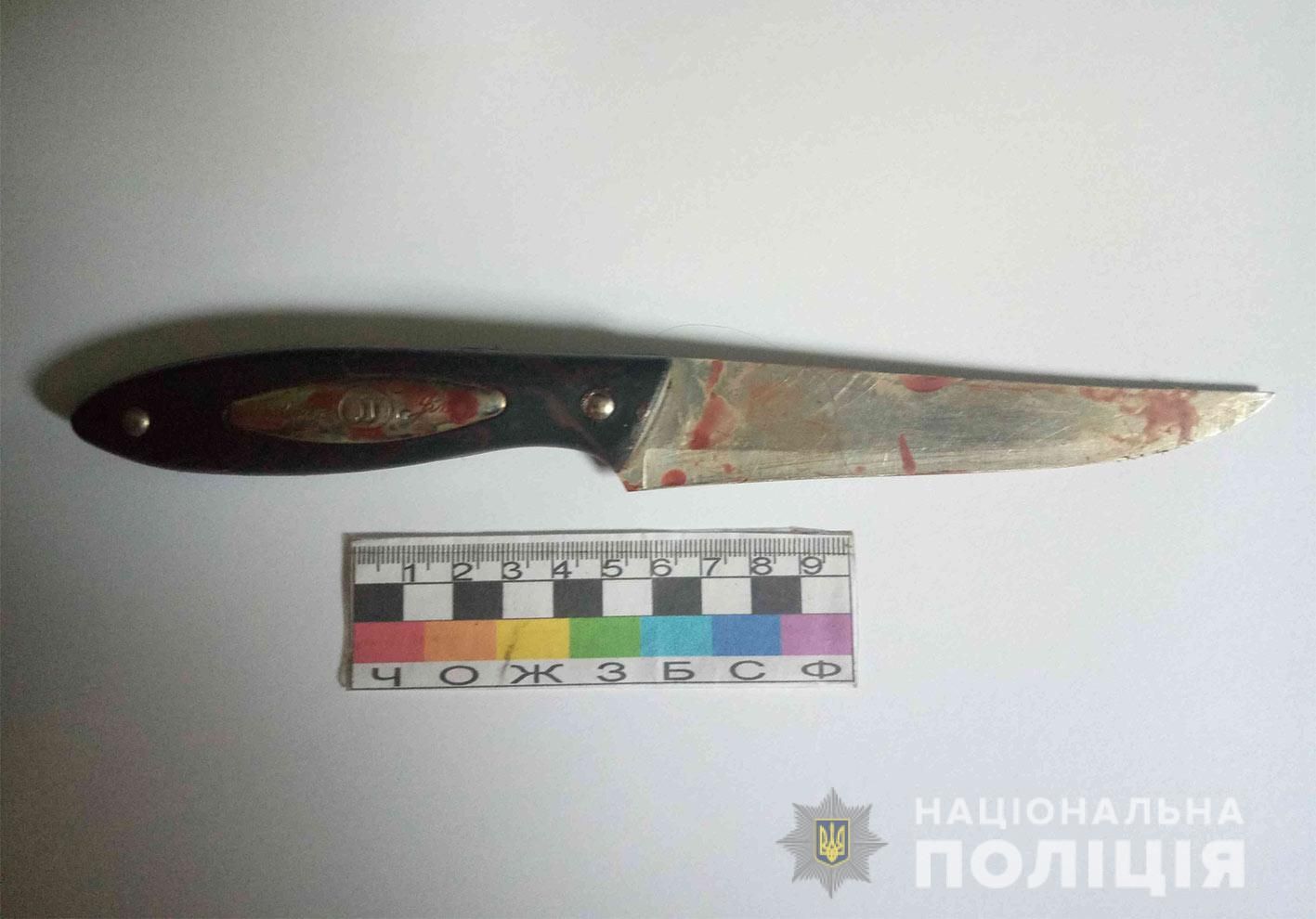У Нікополі хлопець ледь не зарізав сестру: з’ясовували, хто гратиме за комп’ютером