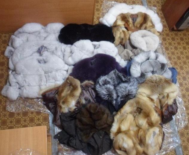 Провідник поїзду Москва - Харків намагався провезти 15 шуб з лисиці та песця