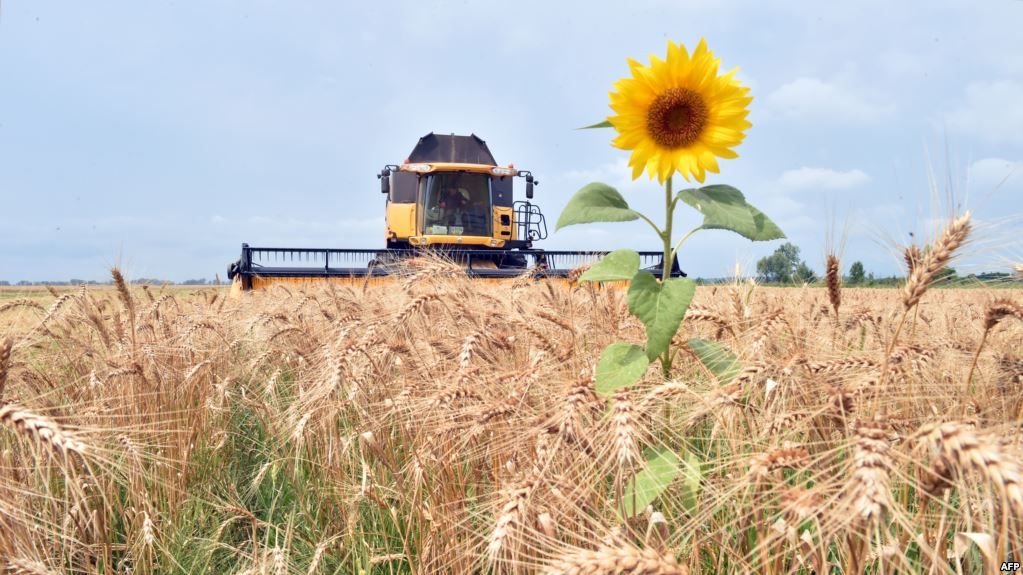 Рада ще на рік продовжила мораторій на продаж сільськогосподарських земель