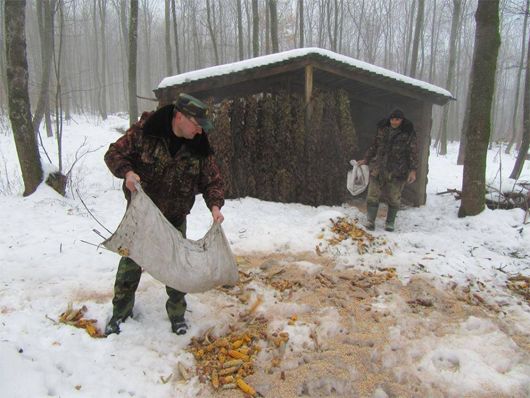 Черкаські лісівники підгодовують диких тварин