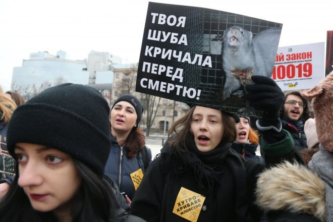 Антихутряна акція "Знімай хутро назавжди!" пройшла в найбільших містах України