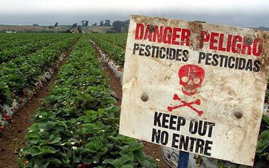Кабмін нарешті знову дозволив утилізувати непридатні пестициди за кордоном