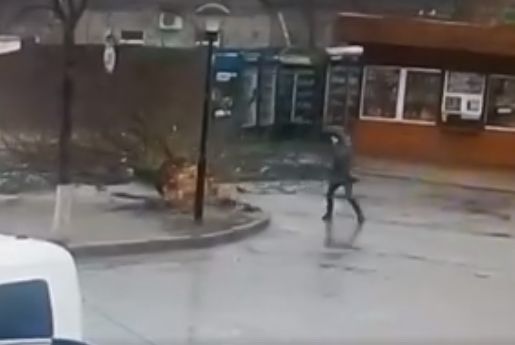 В Ірпені дівчина дивом вижила під час падіння дерева (відео)