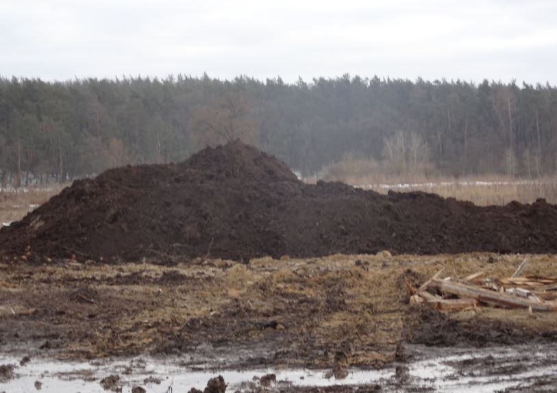 Ірпінь планує збільшити площу міста удвічі за рахунок лісів