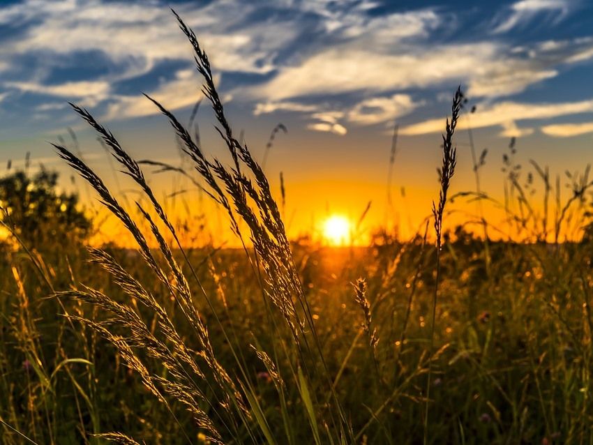 Україні пообіцяли коротке й холодне літо