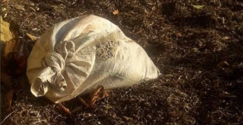 На Львівщині завгосп школи на очах у дітей вбив собаку і кинув його у річку