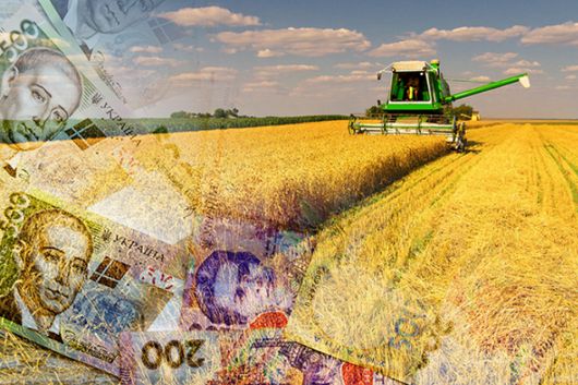 Пшениця в обміннику: як Україна все більше перетворюється на суто аграрну державу