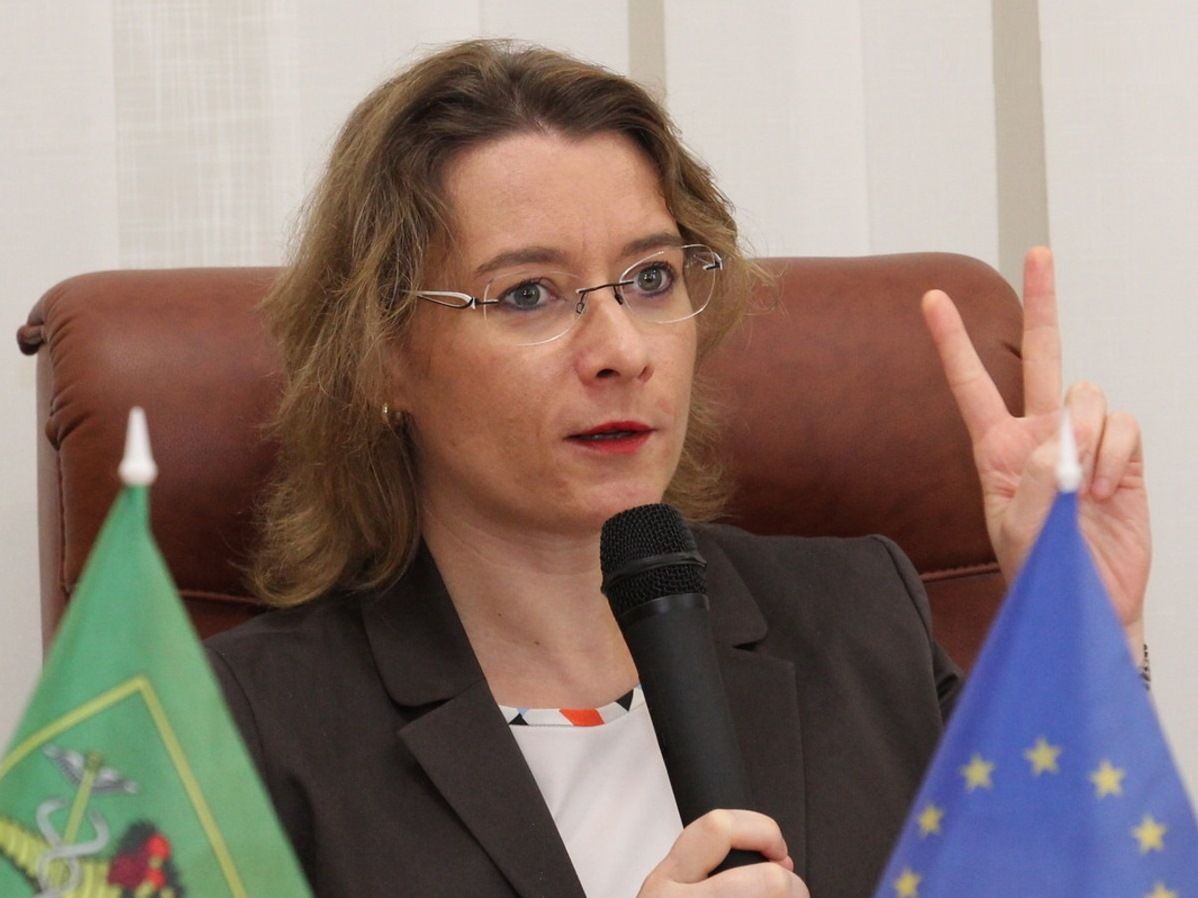 Посол Франції обурена грубим жартом політолога Березовця про пожежу в Парижі