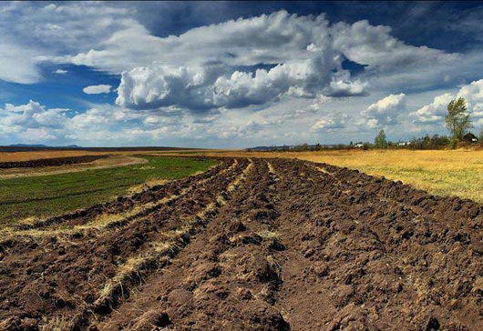 Відкриття ринку землі лише продовжить мораторій на невизначений період - експерти