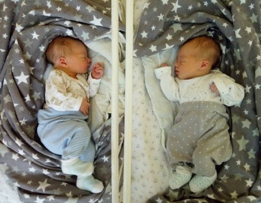 Щедрий лелека прилетів: у Херсоні за добу народилося чотири пари близнюків