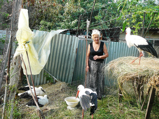 72-річна Людмила Юкальчук з Полтави рятує кинутих напризволяще тварин і птахів