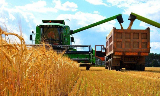 Південь країни жнивує: у лідери вибилася Одещина