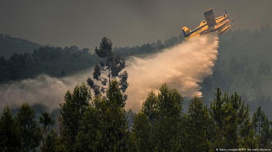 У Португалії вирують наймасштабніші в історії країни лісові пожежі