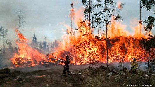 Трамп запропонував Путіну допомогу в гасінні лісових пожеж у Сибіру