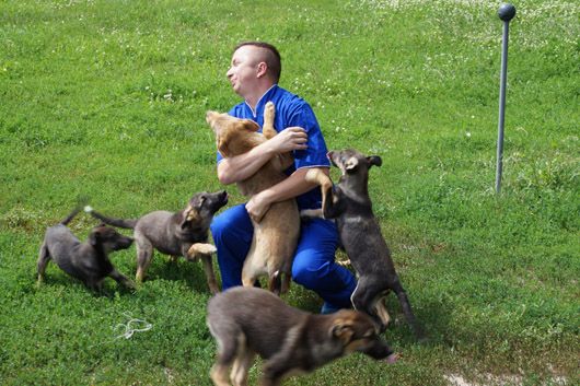 У Києві команда волонтерів рятує життя тваринам, які потрапили в біду