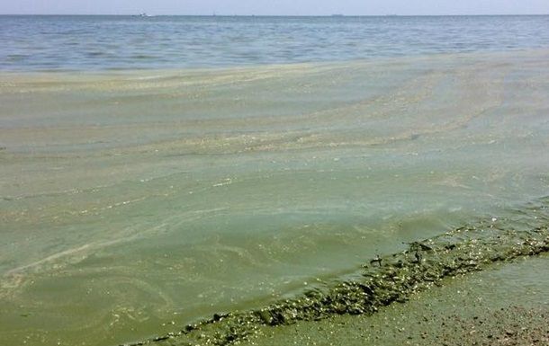 В Одесі на 5 пляжах вода не відповідає санітарним нормам