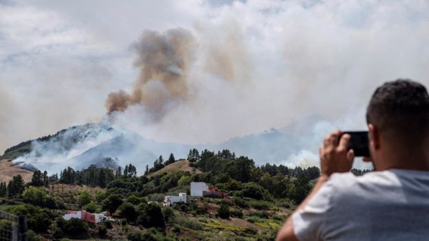 Пожежі на Канарах: влада заявила про безпрецедентну екологічну трагедію