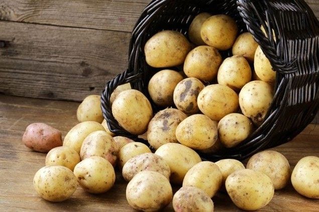 Ціна на українську картоплю різко знизилась через імпорт з Білорусі