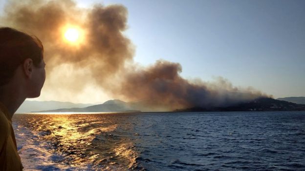 В Греції евакуювали тисячу людей через лісові пожежі