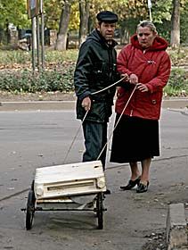 Глобальне утеплення