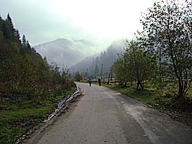 Село як соняшник