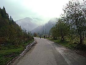 Село як соняшник