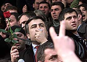 Три роки троянди не в'януть?